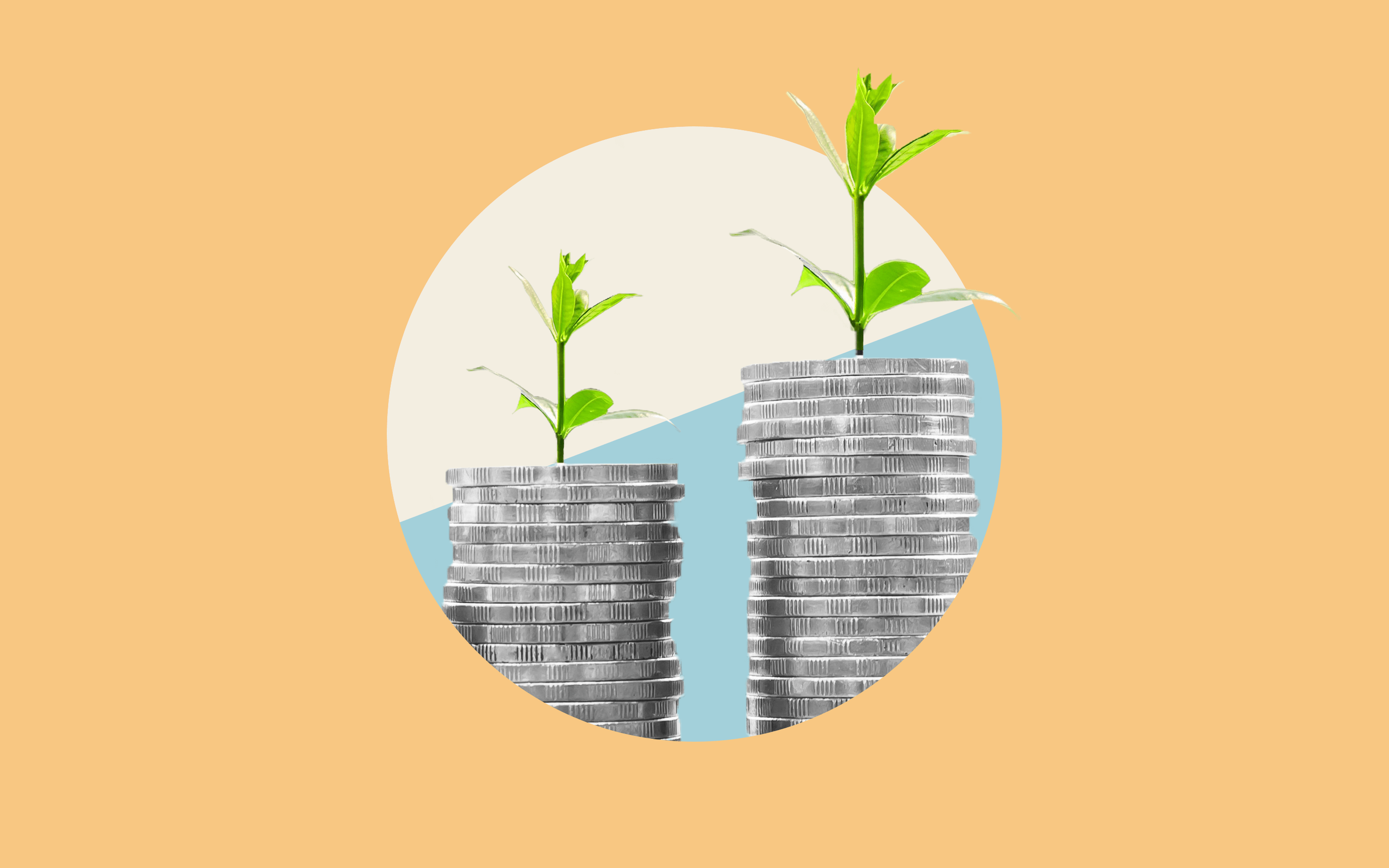 Greenwashing beim Impact Investment